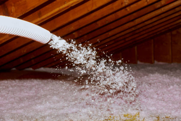 Best Soundproof Insulation Installation  in Fort Davis, TX