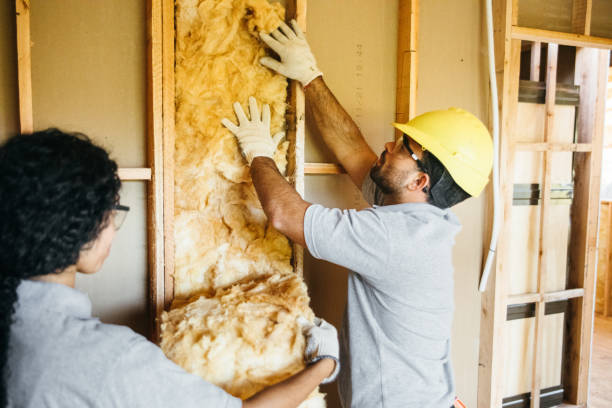 Best Residential Insulation Services  in Fort Davis, TX