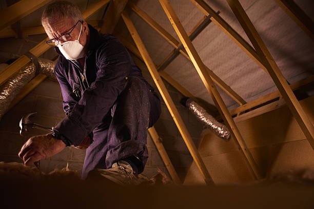 Best Local Insulation Services  in Fort Davis, TX