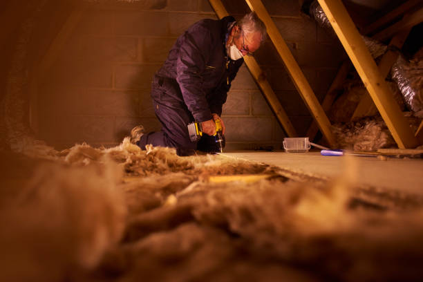 Best Home Insulation Services  in Fort Davis, TX